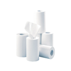 12 rollen glad papier met centrale afwikkeling - 200 formaten - 21 x 35 cm - Euromédis