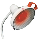 Vervangende lamp voor de Thera/Thera Duo 250W infraroodlamp - DEKSEL