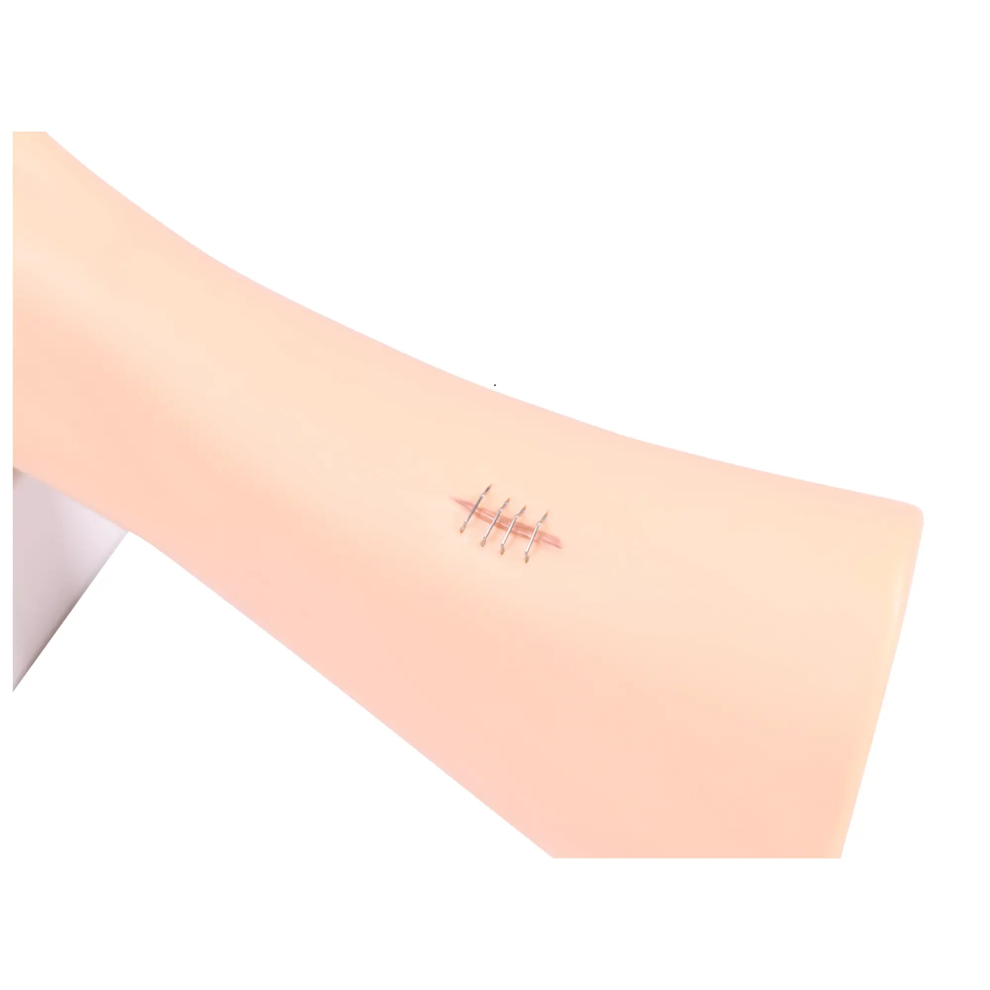 Voetmodel met wonden - Anatomie en pathologie Mijn Podotherapie 