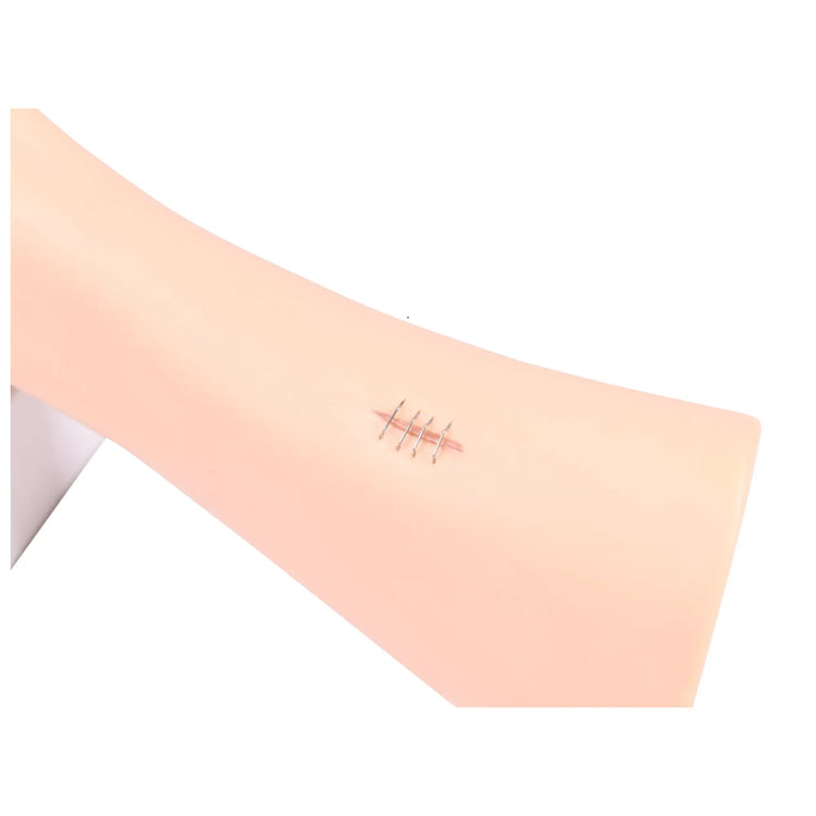 Voetmodel met wonden - Anatomie en pathologie Mijn Podotherapie 