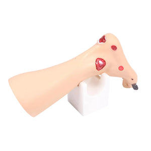 Voetmodel met wonden - Anatomie en pathologie Mijn Podotherapie 