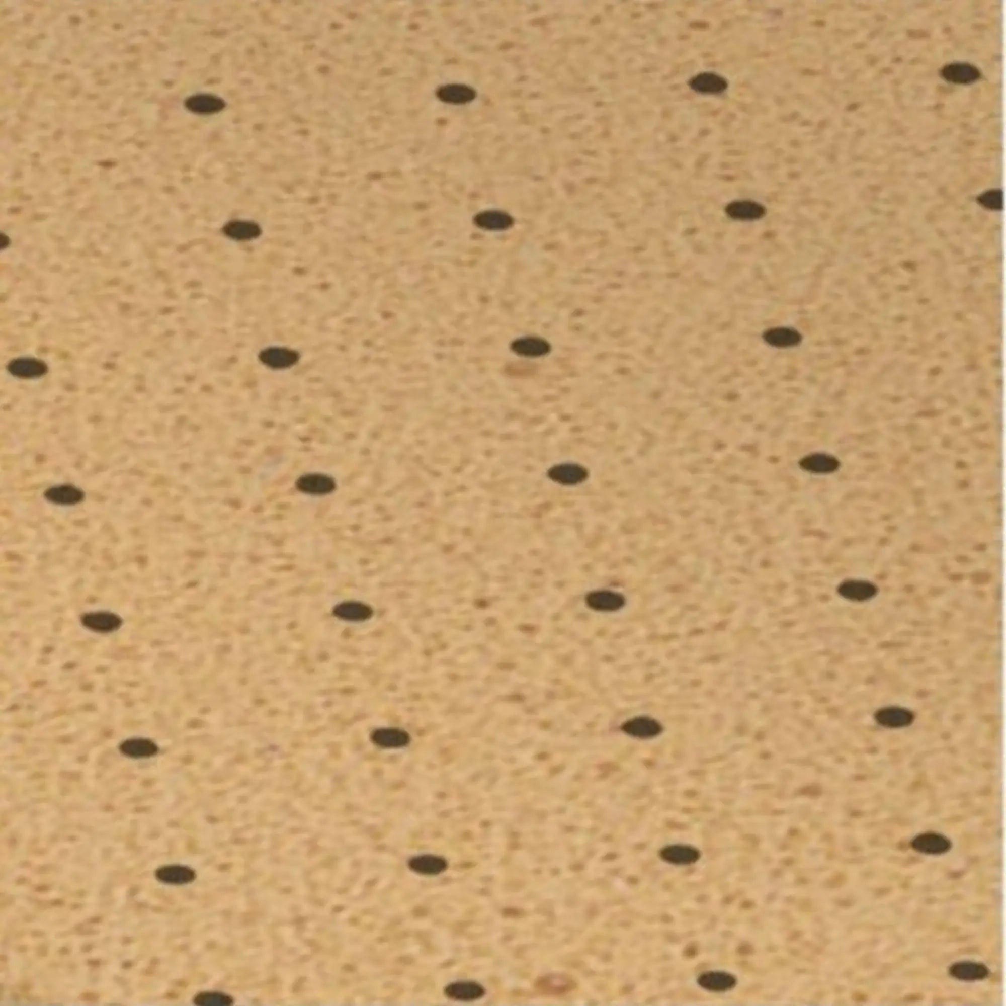 Recouvrement My Evastar Premium Soft - EVA - Shore 30 - Perforé - 2 mm / 3 mm My Podologie 