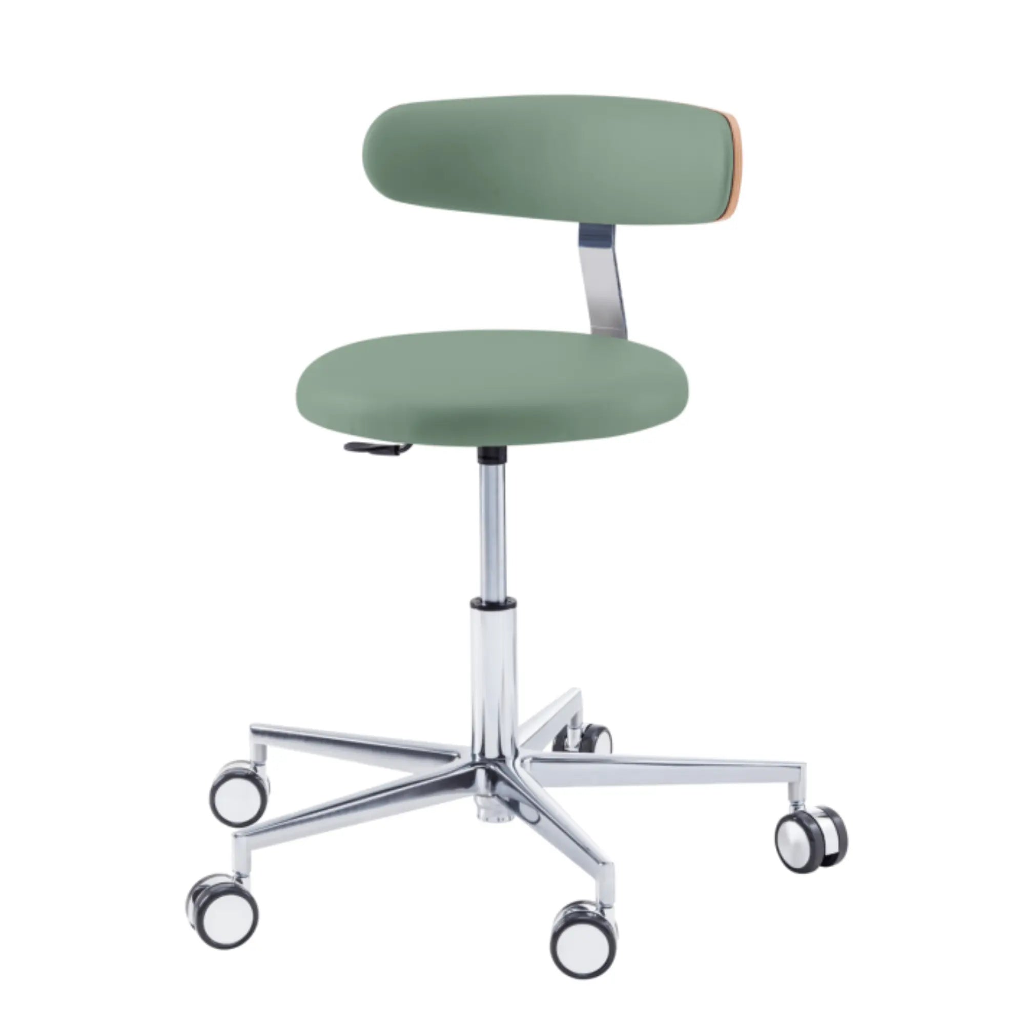 Siège praticien - ROUND - Ruck - Ressort à Gaz Long Ruck  Sauge-Dossier-Radius-CPL-Noyer