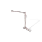 Beenskelet met voet