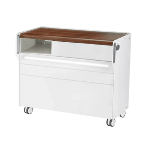 Unité de Podologie "Room Move" - Taille L - Ruck Ruck  Noyer-3-avec-LED-compartiment-micromoteur-à-gauche